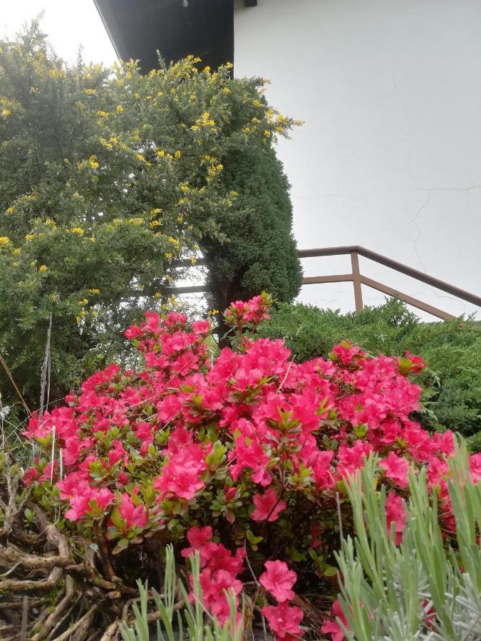 Ollasio18 Giaveno Bagian luar foto