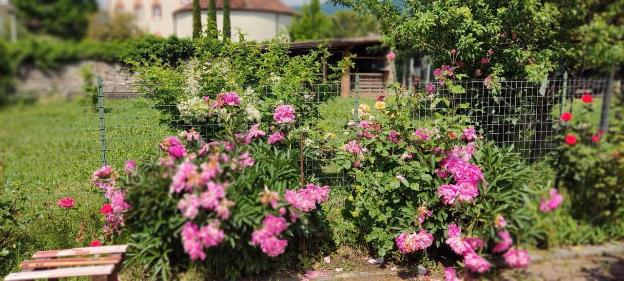Ollasio18 Giaveno Bagian luar foto